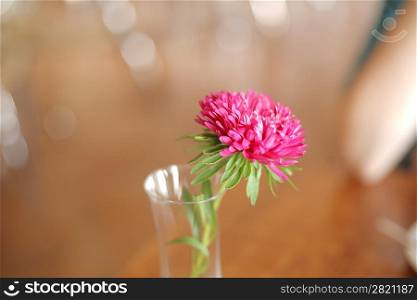 Flower on a table in the glass bottle