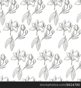 Flower on stem with foliage seamless pattern. Monochrome sketch outline of growing plant with flourishing buds, spring blossom, colorless flower branch with leaves. Summer botany, vector in flat style. Branches with leaves and flourishing seamless pattern monochrome