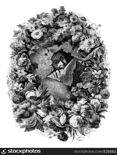 Flower painting Portrait Nicolas Vander Bracht, painted by himself, vintage engraved illustration. Magasin Pittoresque 1847.