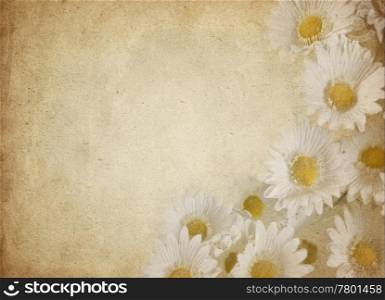 flower parchment. great old parchment paper with nice flowers