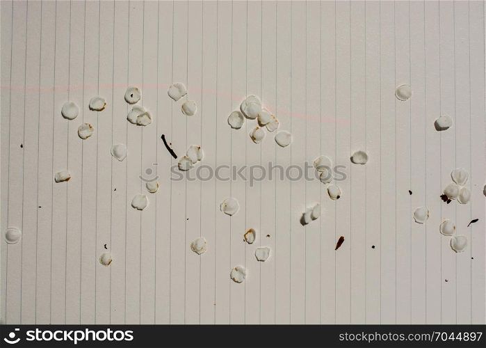 Flower petals on a paper background
