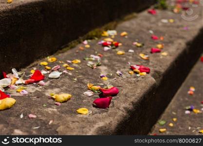 Flower petals on stone steps after a wedding