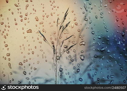 flower plants and raindrops in rainy days in spring season