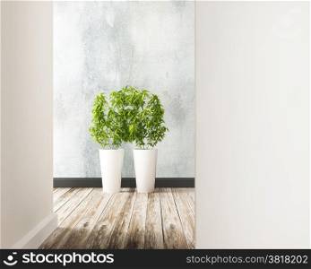 flower plot in the room of interior decorate