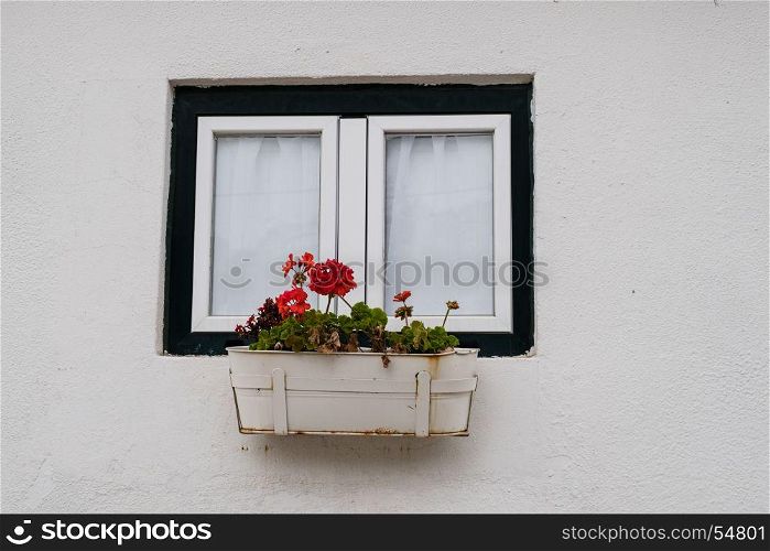 Flower pot at the house facade