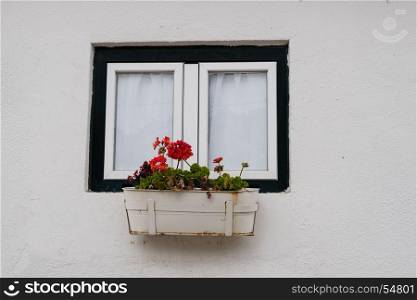 Flower pot at the house facade