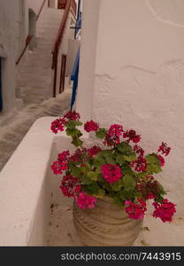 Flower pot in Mykonos Greece