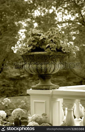 Flower pot on the edge of a railing.