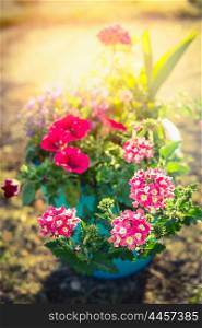 Flower pot with garden deco flowers in sunlight, toned