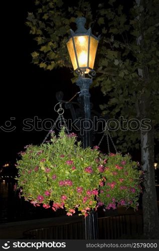 Flower pots hanging on a lamppost