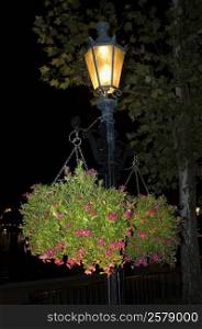 Flower pots hanging on a lamppost
