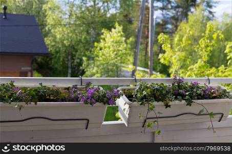 Flower pots on the balcony, in a landscape.