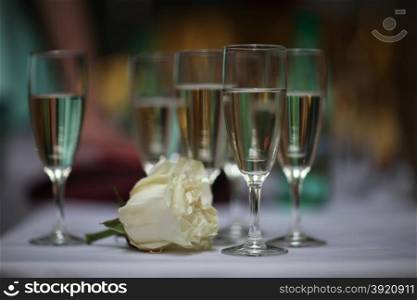 flower rose and glasses with wine