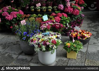 Flower shop in Vienna, Austria
