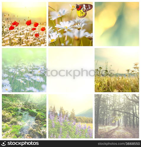 Flower spring background