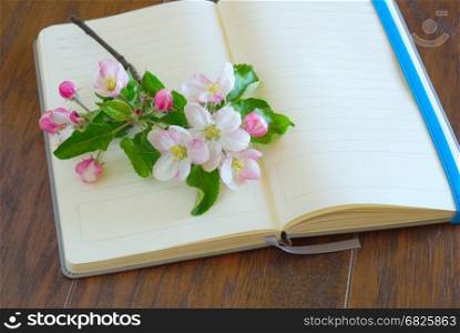 Flower spting blossom on blank diary page. Romantic lyrics notebook. Greeting writing paper. Open notepaper book with copy space.