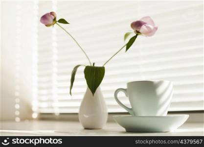 flower vas coffee cup with saucer near window blind