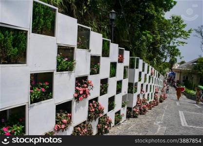 Flower wall at Ba Na Hills, Da Nang, Vietnam