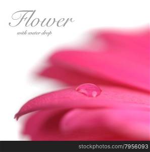 Flower with water drop. Soft focus. Made with lens-baby and macro-lens.