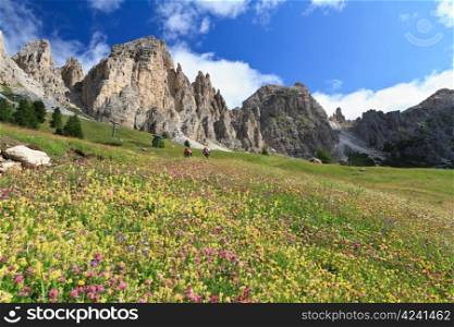 flowered meadow and rocky mountain in Gardena pass, Italy