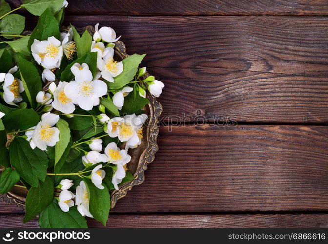 Flowering branches of jasmine with white flowers in a copper plate, empty space on the right