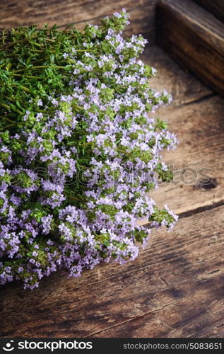 Flowering bush of thyme. Flowering bush of medicinal thyme on wooden background