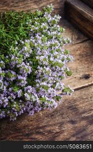 Flowering bush of thyme. Flowering bush of medicinal thyme on wooden background