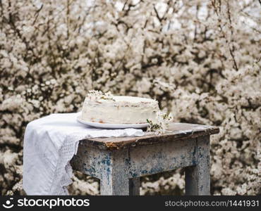 Flowering tree and fresh, homemade cake. Close-up, view from above, outdoors. Flowering tree and fresh, homemade cake. Close-up