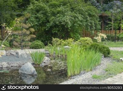 flowering trees in the summer garden. summer garden with a small pond and flowering trees