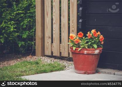 Flowerpot with orange flowers in a garden in the summer