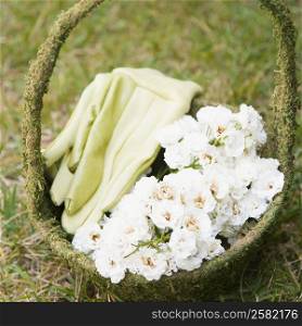 Flowers and a pair of gloves in a basket