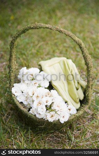 Flowers and a pair of gloves in a basket