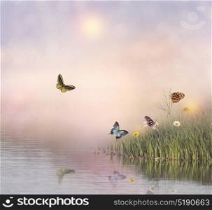 Flowers and Butterflies near a pond. Butterflies near water