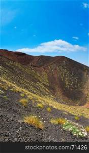 Flowers and plants on summer Etna volcano mountain craters, Sicily, Italy. Four shots stitch image.