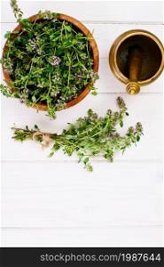 Flowers and Stems of Thyme Studio Photo. Flowers and Stems of Thyme