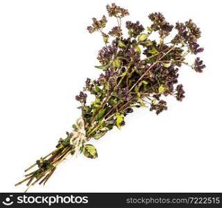 Flowers and Stems of Thyme Studio Photo. Flowers and Stems of Thyme