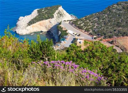 Flowers and summer Porto Katsiki beach on Ionian Sea (Lefkada, Greece) view from up