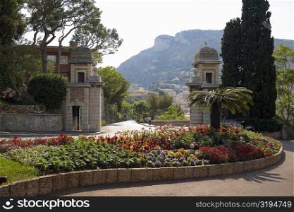 Flowers and trees in a garden, Monte Carlo, Monaco