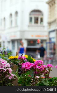 flowers at the show-case of urban flower shop