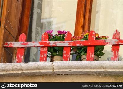 Flowers at the window behind a wooden fence