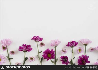 flowers background copy space 3. Resolution and high quality beautiful photo. flowers background copy space 3. High quality beautiful photo concept