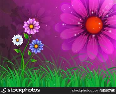 Flowers Background Meaning Garden Spring And Blooming&#xA;