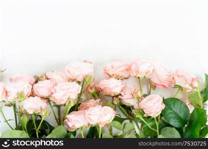 Flowers composition. Border made of rose fresh flowers and leaves on white background. Flat lay, top view scene.. Ranunculus flat lay composition