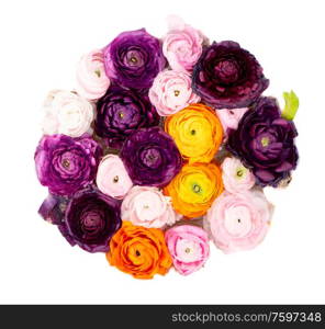 Flowers composition. Floral texture made of ranunculus flowers isolated on white background. Flowers flat lay composition