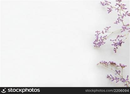 Flowers composition. Frame made of dried flowers on white background. Flat lay, top view