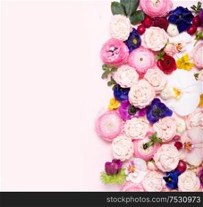 Flowers composition. Lay out border with copy space made of roses and ranunculus flowers on pink background. Flat lay, top view. Flowers flat lay composition