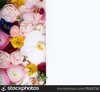 Flowers composition. Lay out with copy space over white, made of roses and ranunculus flowers on white background. Flat lay, top view. Flowers flat lay composition