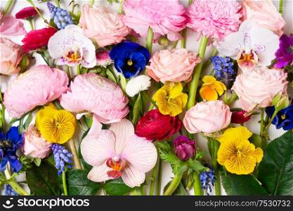 Flowers composition made of roses, ranunculus, pansies and orchids flowers background. Flat lay, top view floral scene.. Ranunculus flat lay composition