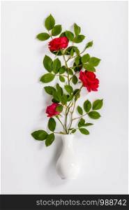 Flowers composition. Red roses and white vase on white background, flat lay. red roses and white vase on white background