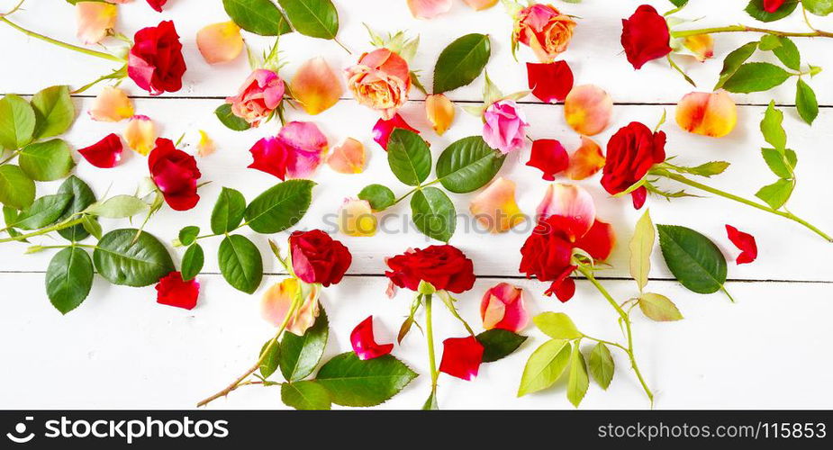 Flowers composition. Red roses isolated on white background. Flat lay, top view. Wide photo.